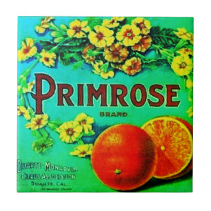 Azulejo De Cerâmica Etiqueta de anúncio laranja de fruta de vinheta