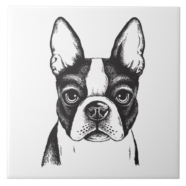 Azulejo De Cerâmica Eu amo Boston Terriers (Frente)