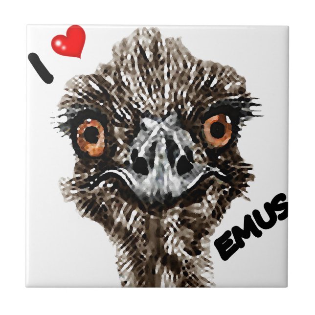 AZULEJO DE CERÂMICA  EU AMO EMUS (Frente)