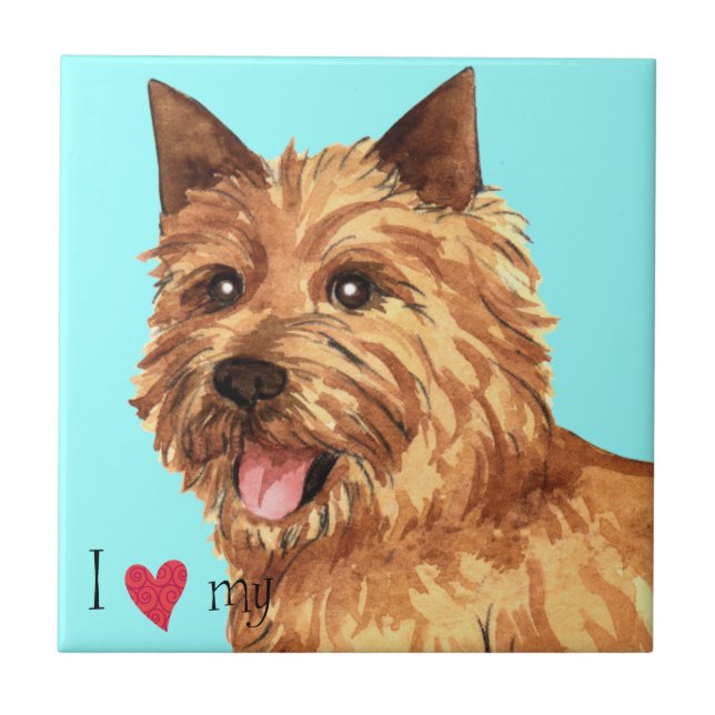 Azulejo De Cerâmica Eu amo meu Norwich Terrier (Frente)