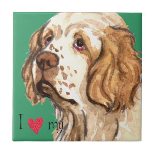 Azulejo De Cerâmica Eu amo meu Spaniel de Clumber