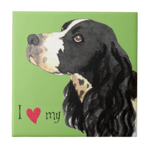 Azulejo De Cerâmica Eu amo meu Spaniel de Springer inglês