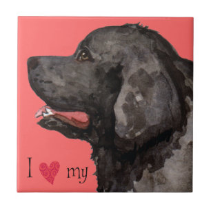 Azulejo De Cerâmica Eu amo minha Terra Nova