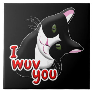 Azulejo De Cerâmica Eu te vi Cat