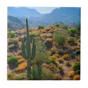 Azulejo De Cerâmica EUA, Arizona. Desert View