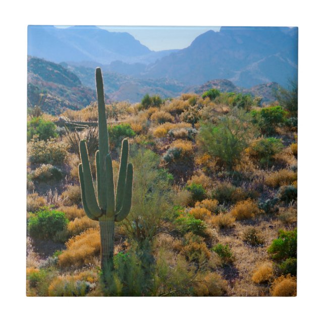 Azulejo De Cerâmica EUA, Arizona. Desert View (Frente)