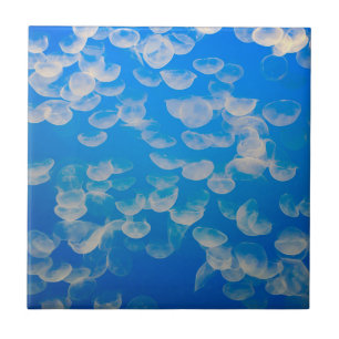 Azulejo De Cerâmica EUA, Califórnia. Água-Velho Na Baía De Monterey