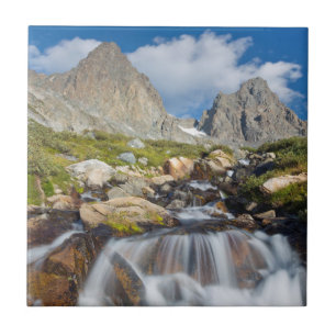 Azulejo De Cerâmica EUA, Califórnia, Floresta Nacional Inyo 14