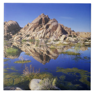 Azulejo De Cerâmica EUA, Califórnia, Parque Nacional Joshua Tree,