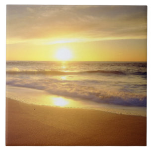 Azulejo De Cerâmica EUA, Califórnia, San Diego. La Jolla Shores