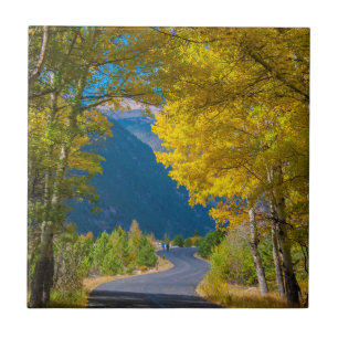 Azulejo De Cerâmica EUA, Colorado. Estrada Flanqueada por Álamo-Tremed