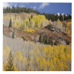 Azulejo De Cerâmica EUA, Colorado, Floresta Nacional de Gunnison, ao l