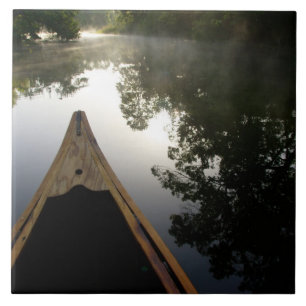 Azulejo De Cerâmica EUA, Florida, Ocala National Forest, Alexander
