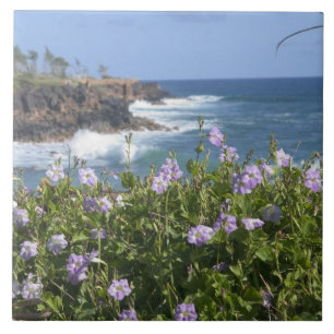 Azulejo De Cerâmica EUA, Havaí, Kauai, perto de Kapaa, noroeste