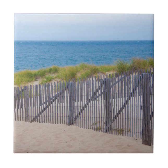 Azulejo De Cerâmica EUA, Massachusetts. Dunas E Caminho (Frente)