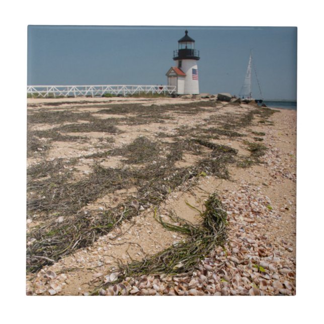 Azulejo De Cerâmica EUA, Massachusetts, Nantucket. Shell (Frente)