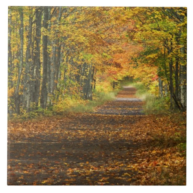 Azulejo De Cerâmica EUA, Michigan, Península Superior. Passagem (Frente)