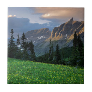 Azulejo De Cerâmica EUA, Montana, Parque Nacional Glacier, Logan Pass
