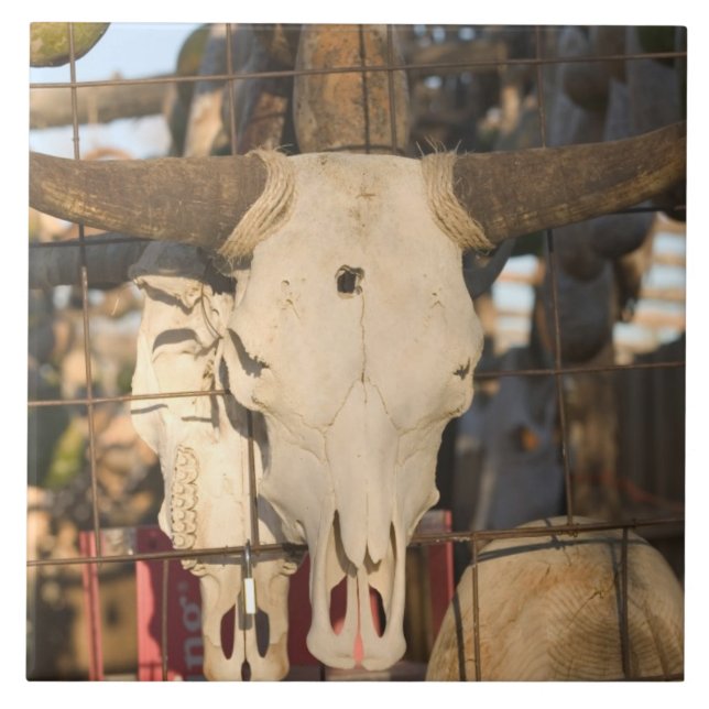 Azulejo De Cerâmica EUA, New mexico, Mesilla: Plaza histórica de (Frente)