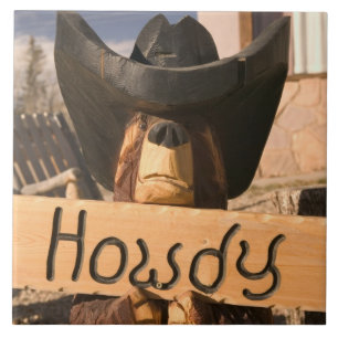 Azulejo De Cerâmica EUA, New mexico, ninho de Eagles: Enchanted