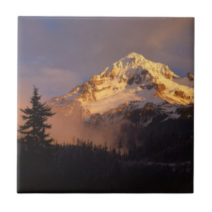 Azulejo De Cerâmica EUA, Oregon, Floresta Nacional de Mt. Hood