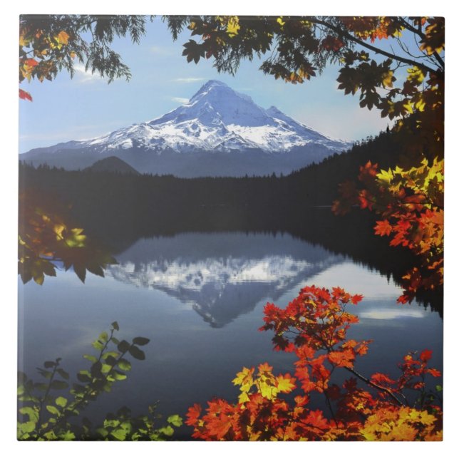 Azulejo De Cerâmica EUA, Oregon, Floresta Nacional do Monte Hood. (Frente)