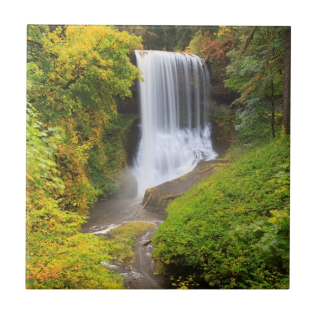 Azulejo De Cerâmica EUA, Oregon, Parque Estadual Silver Falls 3 (Frente)