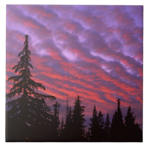 Azulejo De Cerâmica EUA, Oregon, Three Sisters Wilderness, Vívido