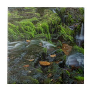 Azulejo De Cerâmica EUA, Pensilvânia, Benton, Ricketts Glen State