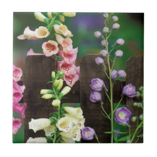 Azulejo De Cerâmica EUA, Pensilvânia. Dedaleira e delphinium