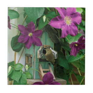 Azulejo De Cerâmica EUA, Pensilvânia. Morreram na casa de pássaros