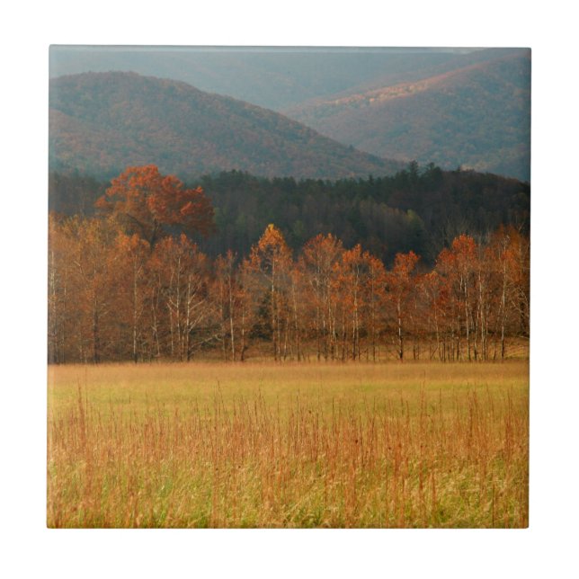 Azulejo De Cerâmica EUA, Tennessee. Cades Cove In Enfumaçado Mountain (Frente)