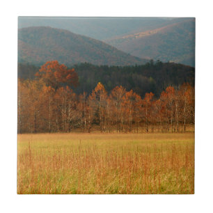 Azulejo De Cerâmica EUA, Tennessee. Cades Cove nas Smoky Mountain