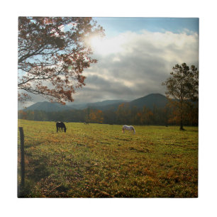 Azulejo De Cerâmica EUA, Tennessee. Cavalos no Vale de Cades Cove