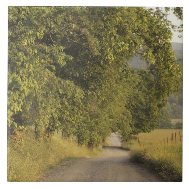 Azulejo De Cerâmica EUA, Tennessee, Excelente Mountains National 2 (Frente)