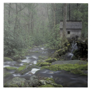 Azulejo De Cerâmica EUA, Tennessee, Excelente Mountains National 3