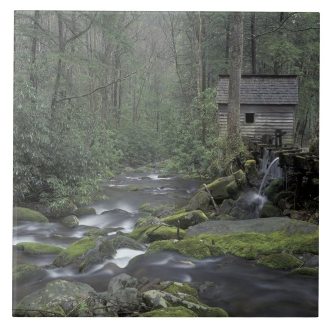 Azulejo De Cerâmica EUA, Tennessee, Excelente Mountains National 3 (Frente)