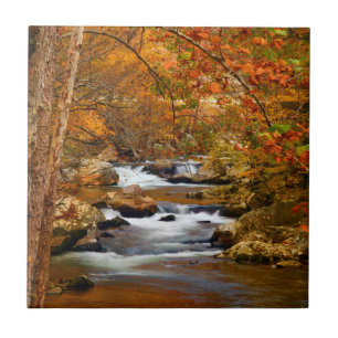 Azulejo De Cerâmica EUA, Tennessee. Rushing Mountain Creek