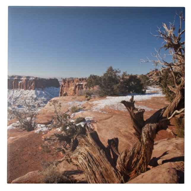 Azulejo De Cerâmica EUA, Utah, Moab. Parque Nacional Canyonlands, (Frente)