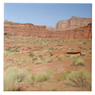 Azulejo De Cerâmica EUA, Utah, Parque Nacional Canyonlands, Shafer Can