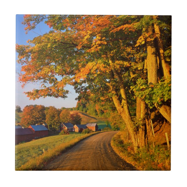 Azulejo De Cerâmica EUA, Vermont, South Woodstock (Frente)