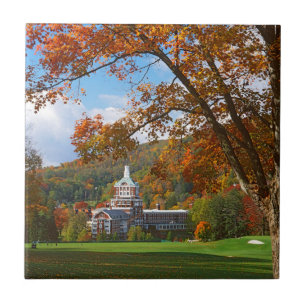 Azulejo De Cerâmica EUA, Virginia, Hot Primaveras, The Homestead