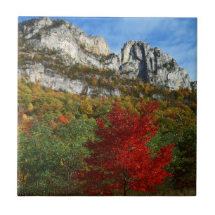 Azulejo De Cerâmica EUA, Virgínia Ocidental, Spruce Knob-Seneca Rocks