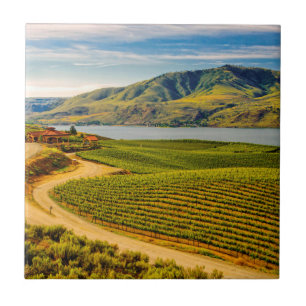 Azulejo De Cerâmica EUA, Washington, Lago Chelan. Benson Vineyards