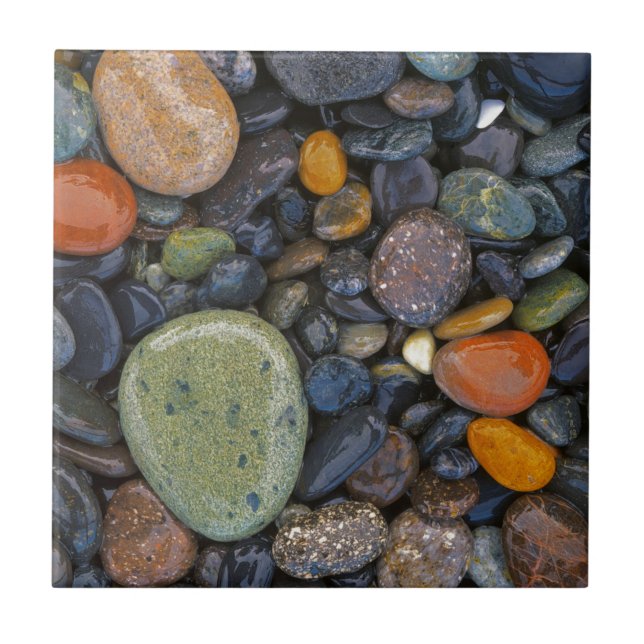 Azulejo De Cerâmica EUA, Washington, Lopez Island, Agate Beach (Frente)