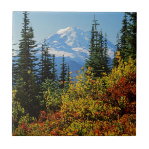 Azulejo De Cerâmica EUA, Washington, Monte Rainier National Park 2