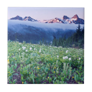 Azulejo De Cerâmica EUA, Washington, Monte Rainier National Park 4