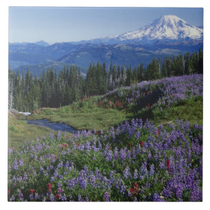 Azulejo De Cerâmica EUA, Washington Mt. Adams Wilderness, Prados