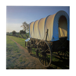Azulejo De Cerâmica EUA, Washington, nacional da missão de Whitman