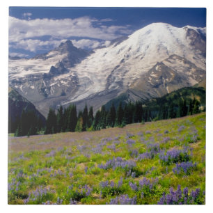 Azulejo De Cerâmica EUA, Washington, Parque Nacional Mt. Rainier.